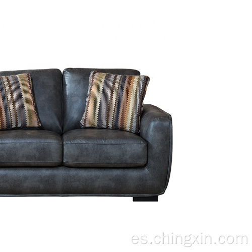 El sofá seccional fija los muebles del sofá de la sala de estar de dos plazas